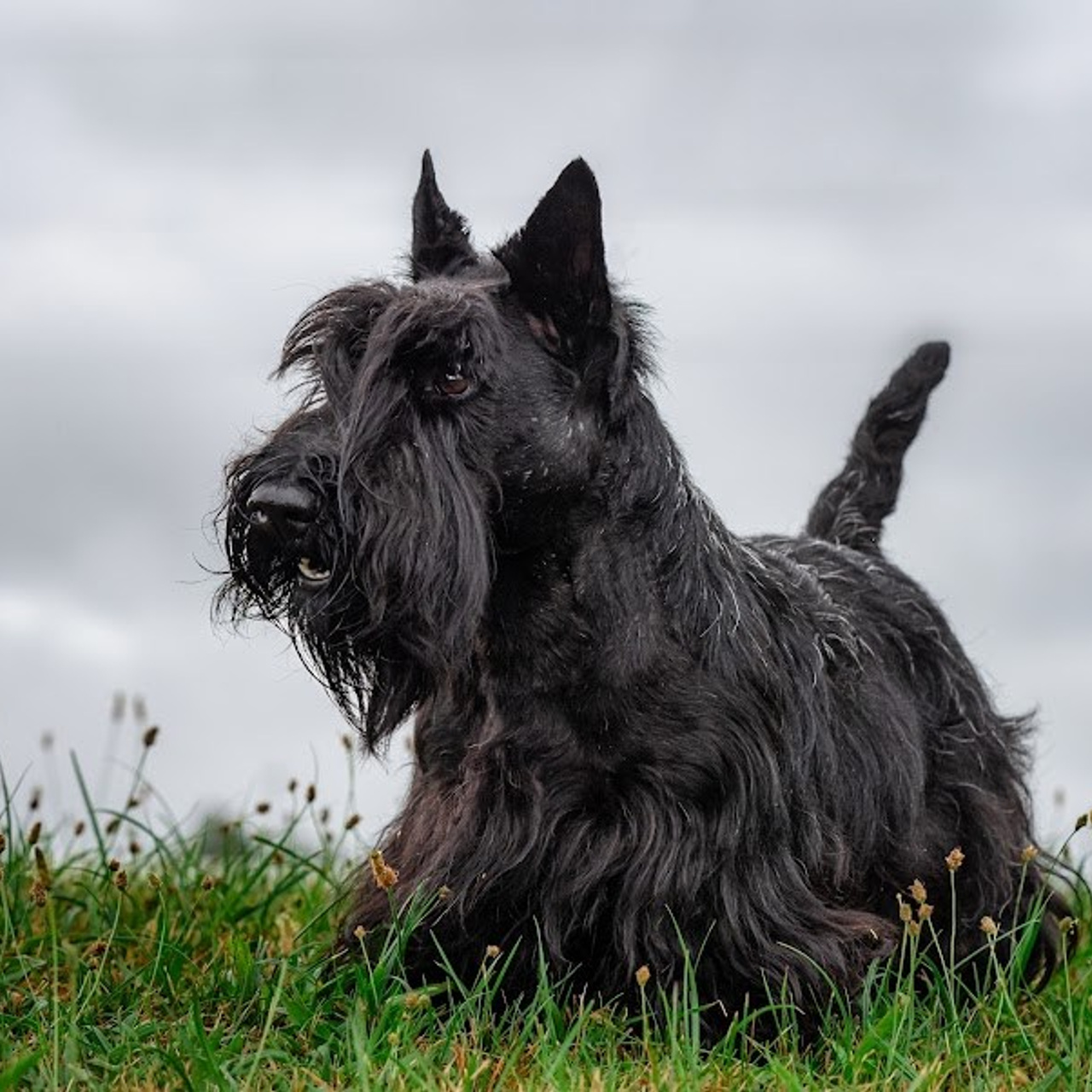 Critiques du travail du photographe. Impressions des clients. Photographe à Strasbourg | Portraits, Studio, Enfants, Événements