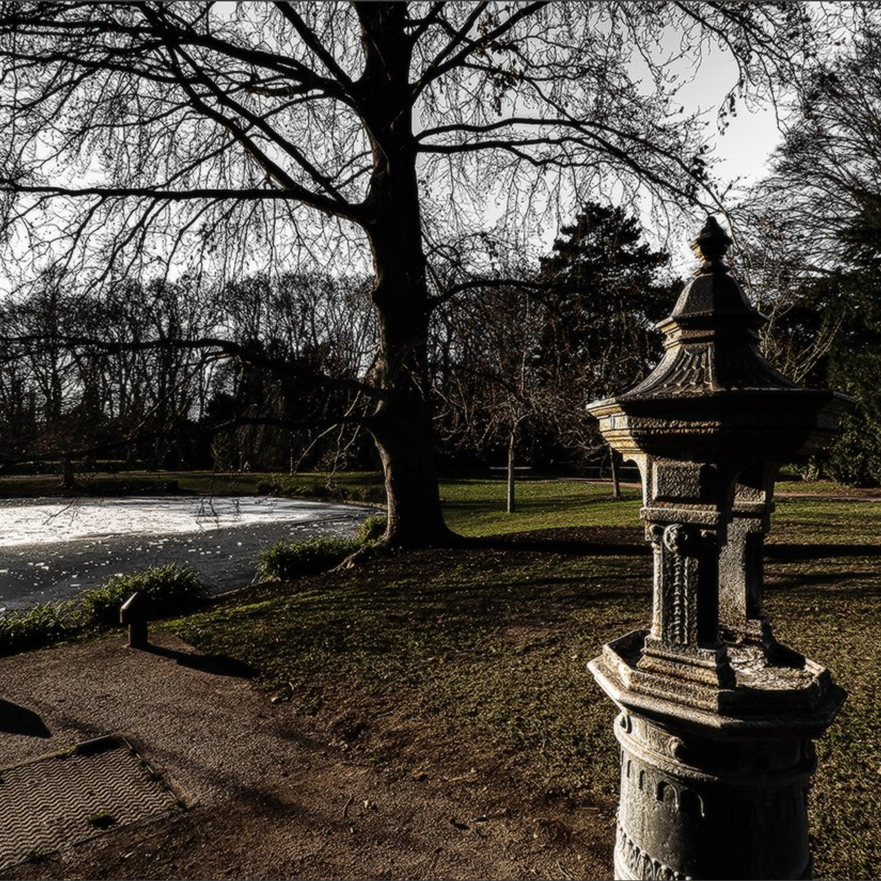 Etang gelé de l'Orangerie et ensoleillé mais froid Strasbourg. Photographe à Strasbourg | Portraits, Studio, Enfants, Événements