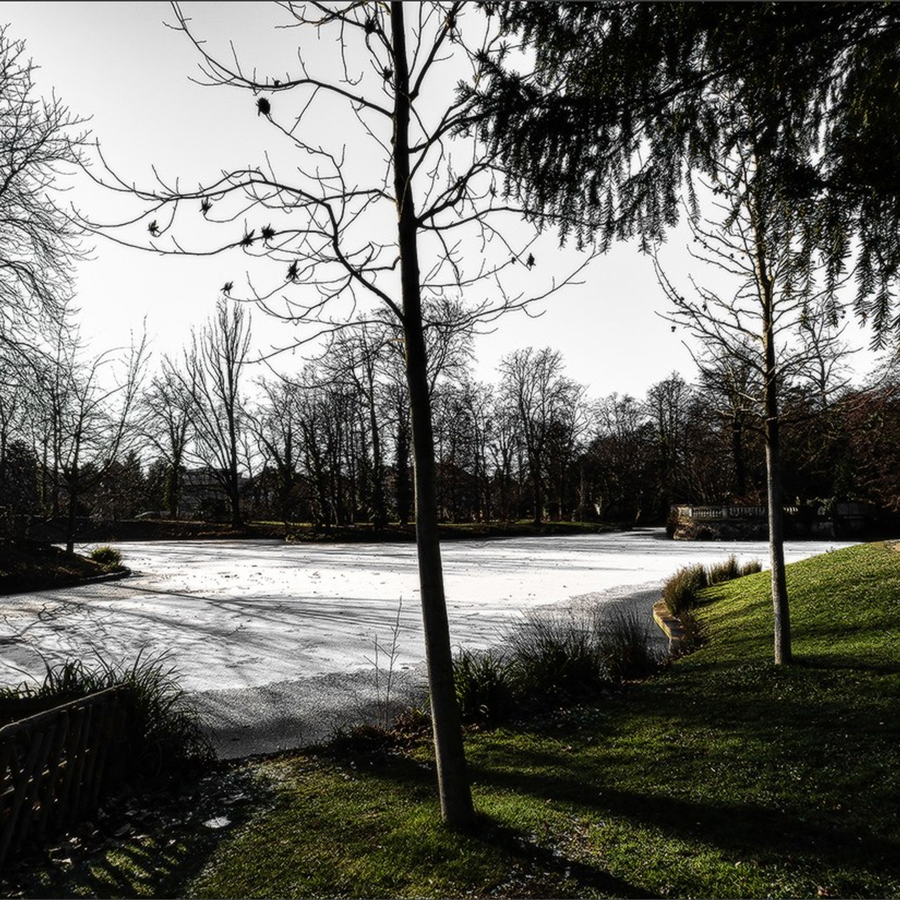 Etang gelé de l'Orangerie et ensoleillé mais froid Strasbourg. Photographe à Strasbourg | Portraits, Studio, Enfants, Événements