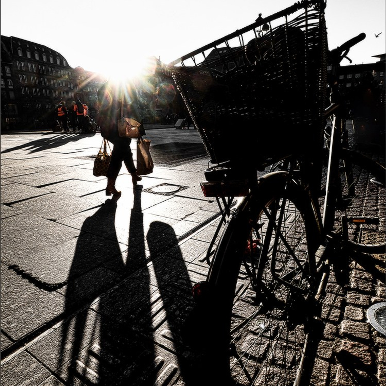 Etang gelé de l'Orangerie et ensoleillé mais froid Strasbourg. Photographe à Strasbourg | Portraits, Studio, Enfants, Événements