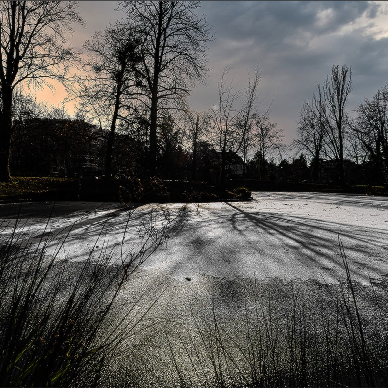 Etang gelé de l'Orangerie et ensoleillé mais froid Strasbourg. Photographe à Strasbourg | Portraits, Studio, Enfants, Événements