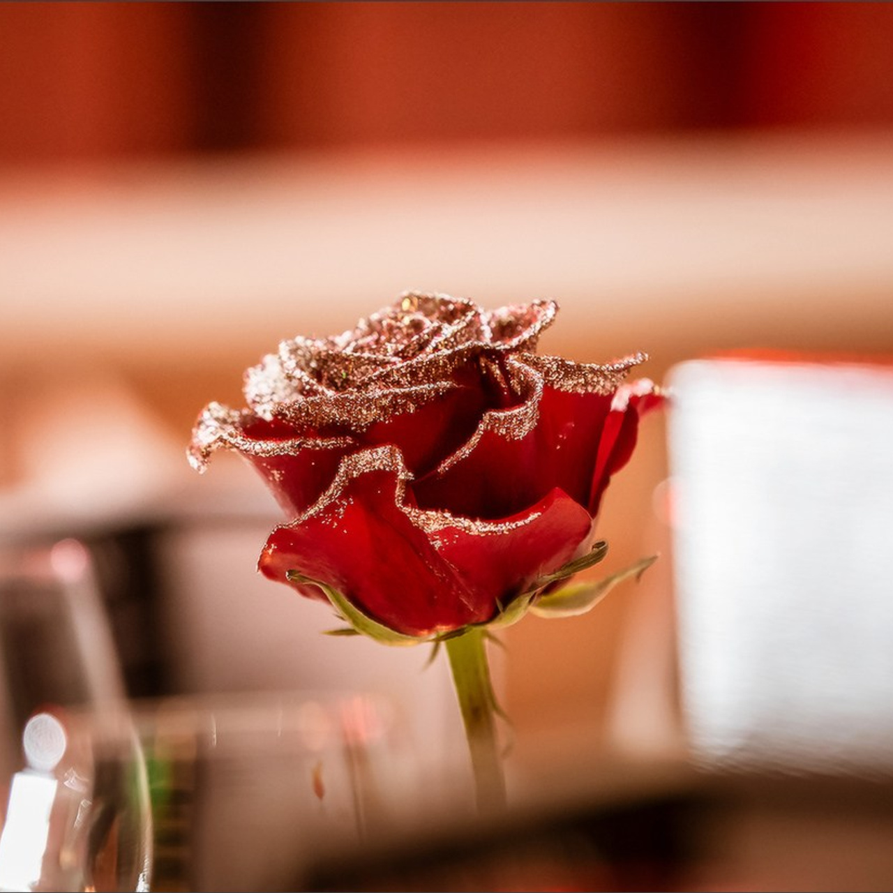 Nouvel An dans un restaurant Manicook. Photographe à Strasbourg | Portraits, Studio, Enfants, Événements