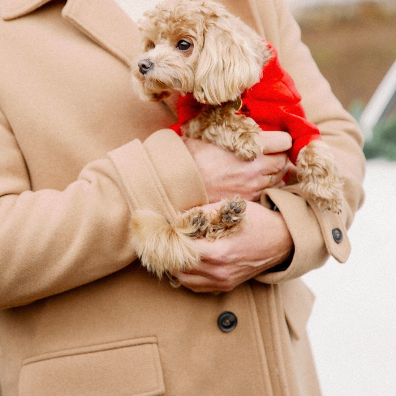 Feedback. Huzyk Fotografie. Hochzeits- und Familienfotografin. Freiburg und Umgebung