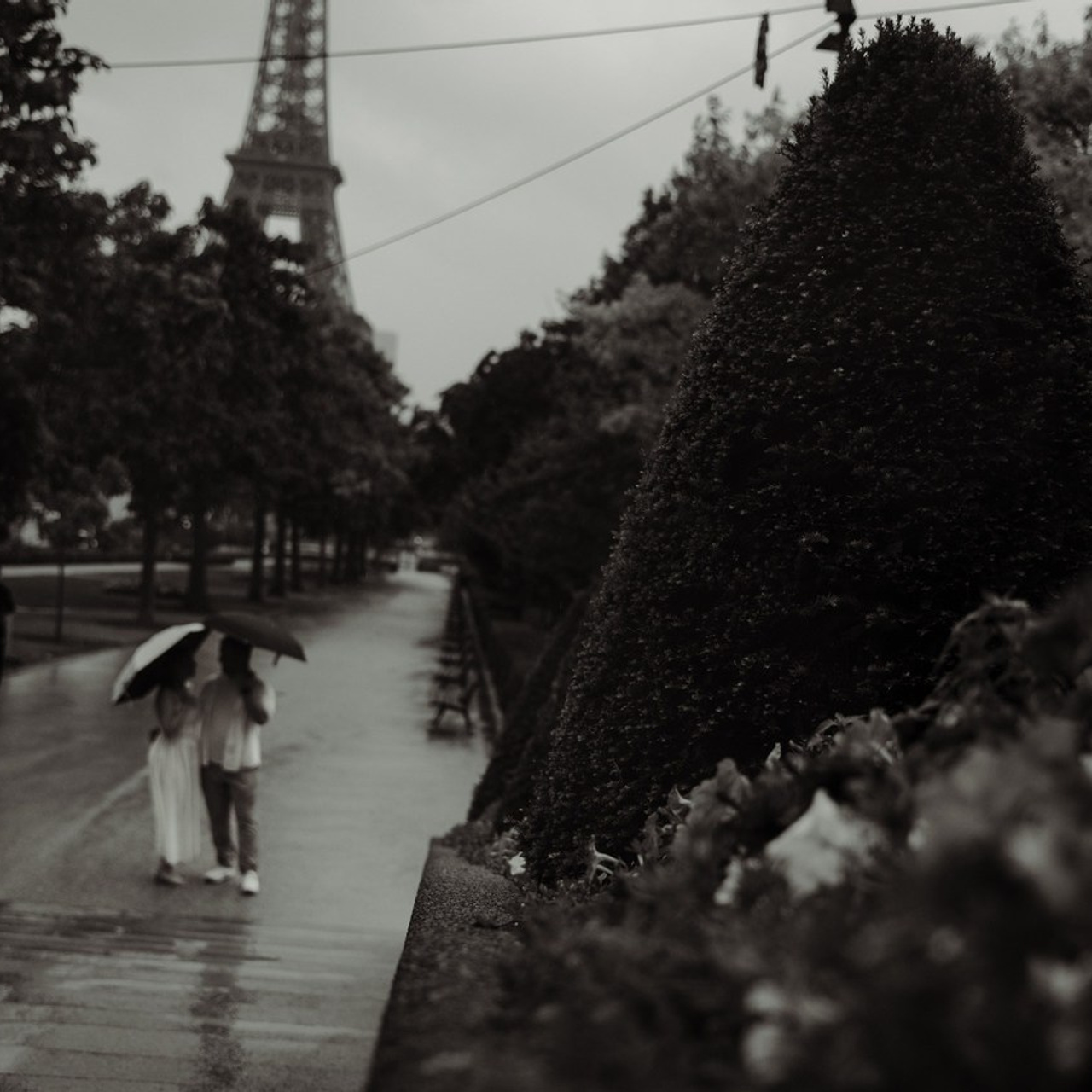 Photoshoot in Paris Reviews. Paris photographer — Polina Osipova