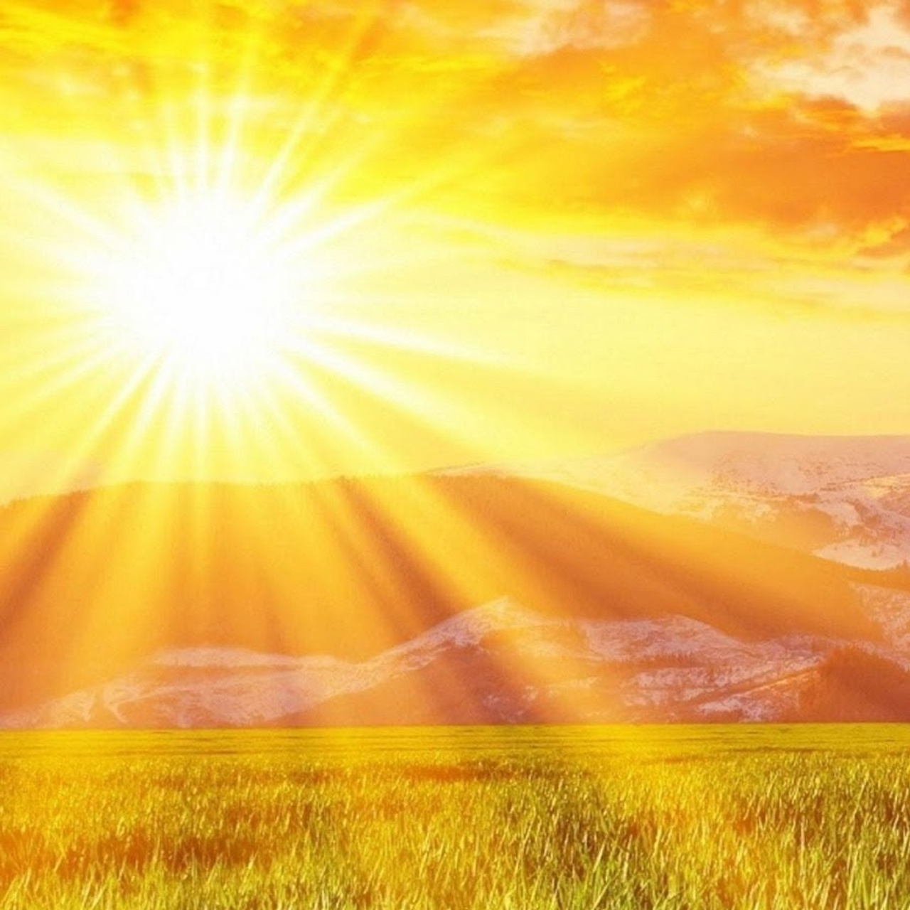 Témoignages. Photographe professionnelle de la ville d’Auxerre - Ekaterina Mathieu