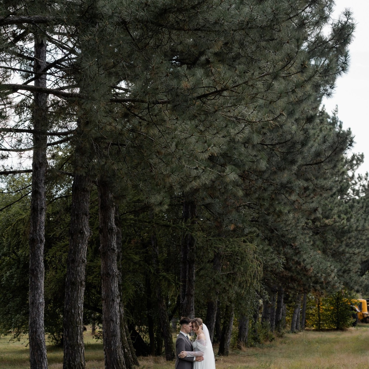 Comments wed-film studio. Wed-Film studio -Servicii foto și video pentru nunta în Moldova