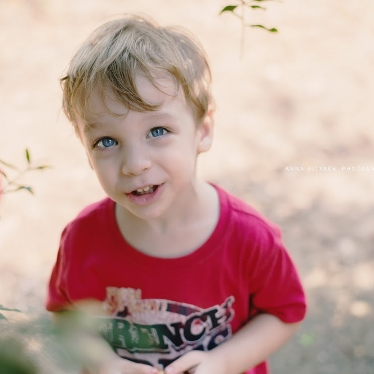 אלבום רימון אדום