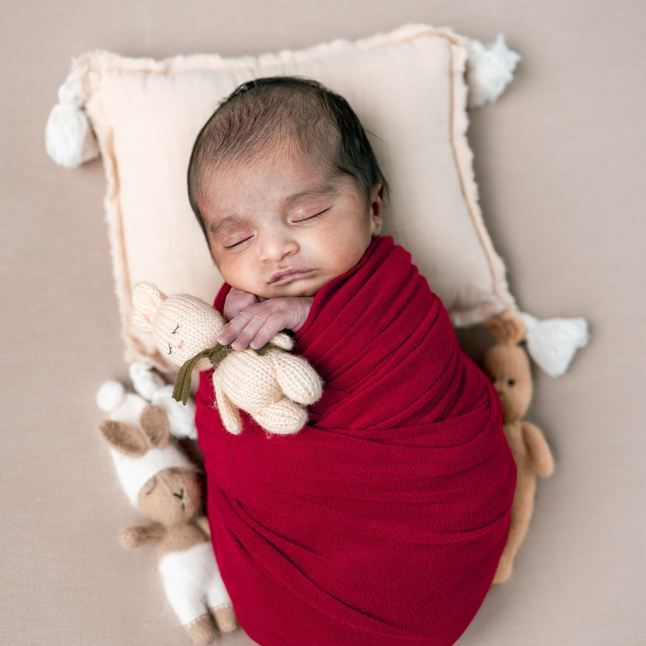 Testimonials. Anaeliseevaphoto.com