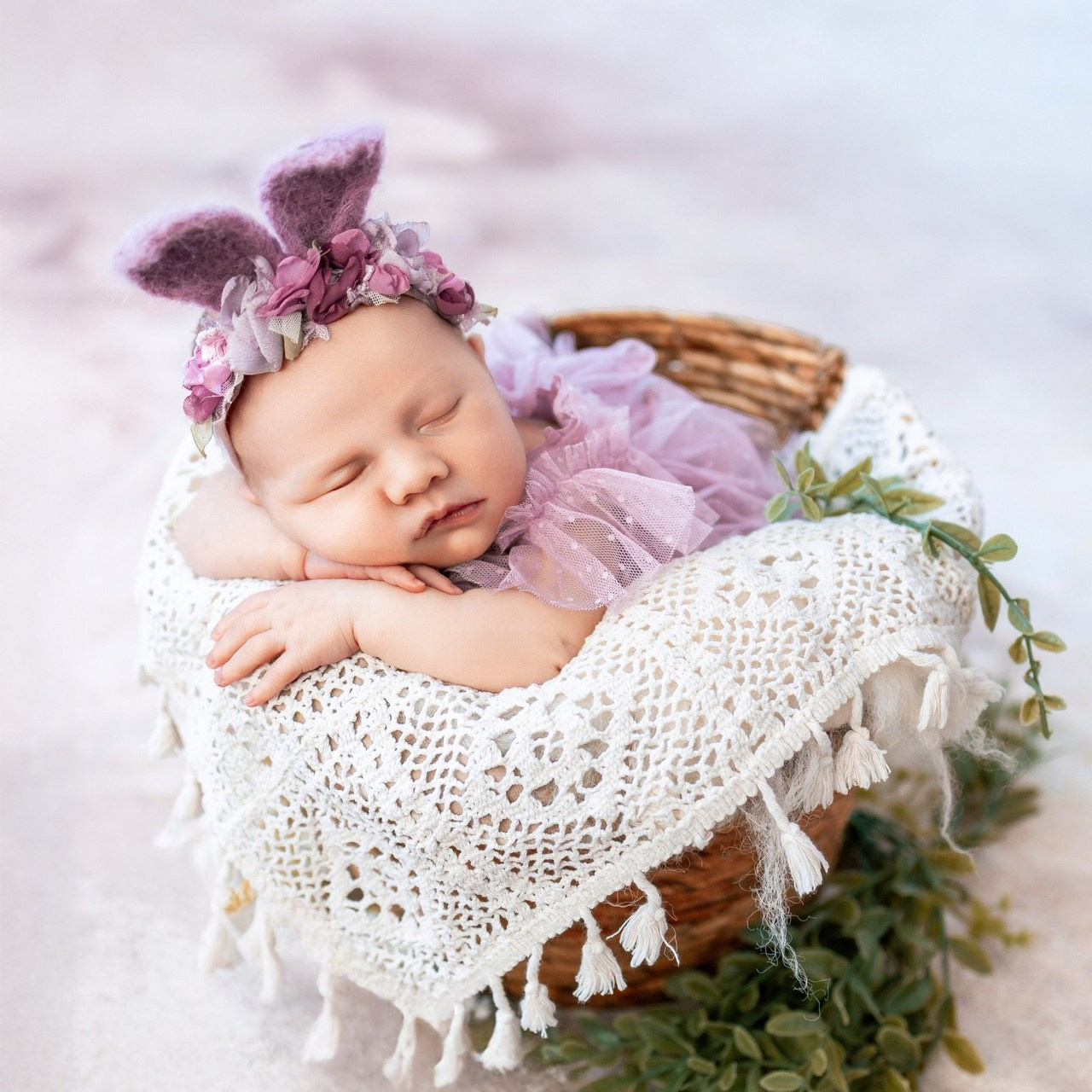 Testimonials. Anaeliseevaphoto.com