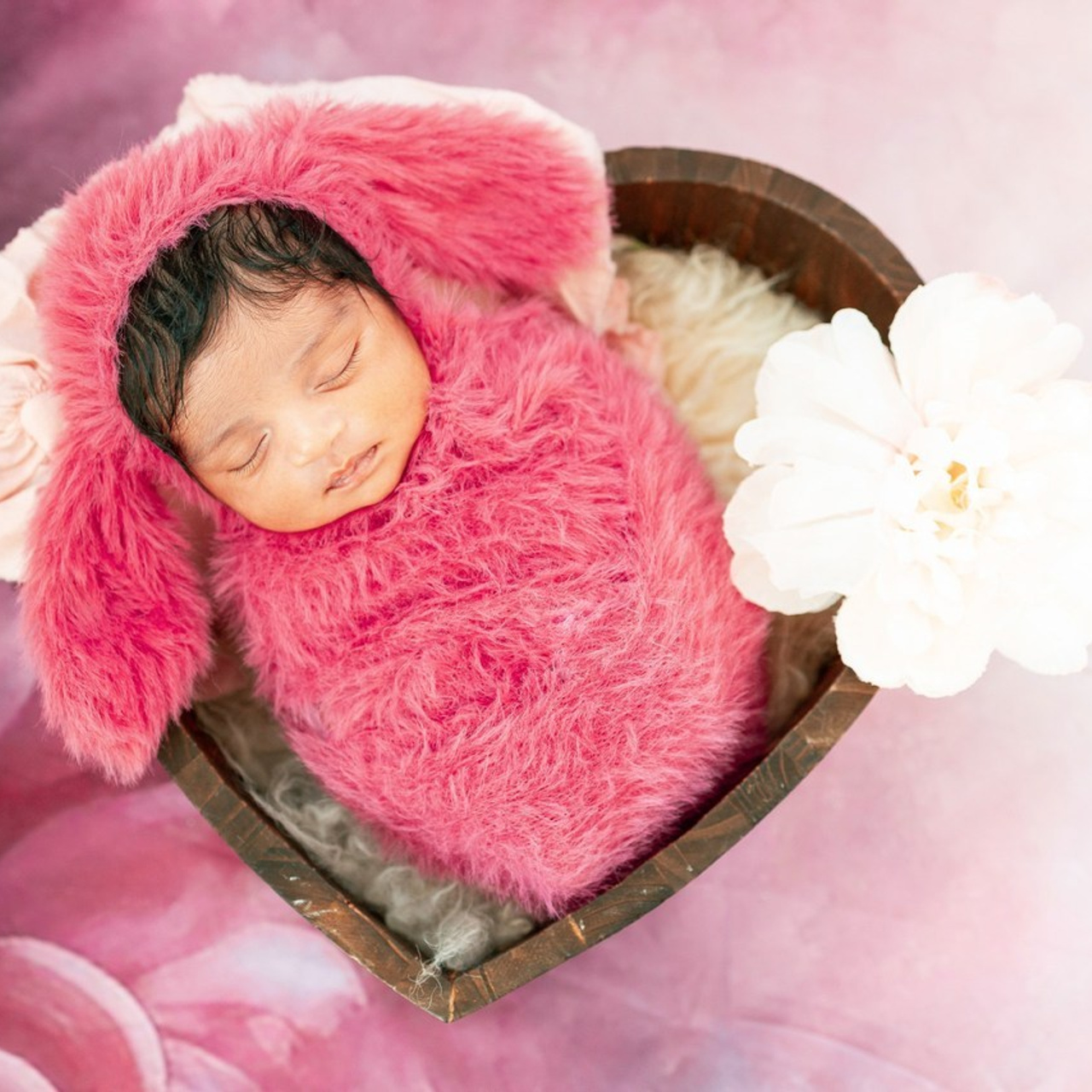 Testimonials. Anaeliseevaphoto.com