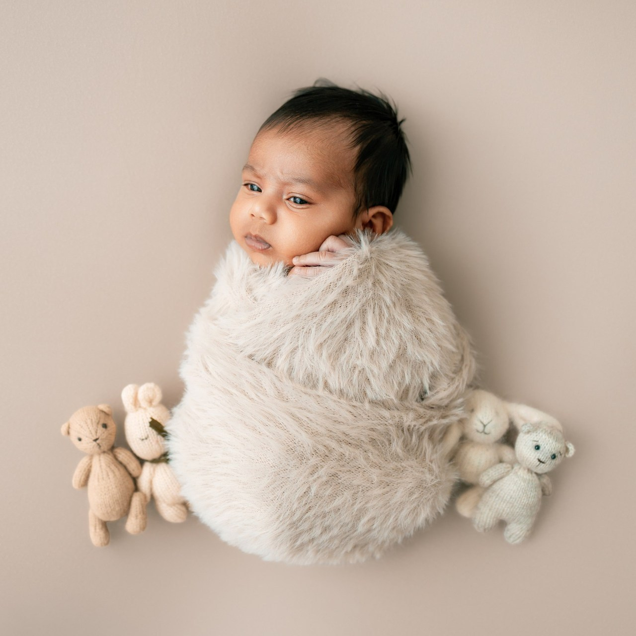 Testimonials. Anaeliseevaphoto.com