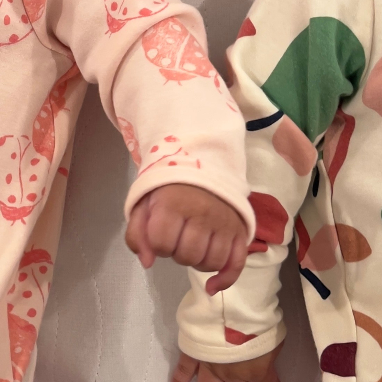 Testimonials. Anaeliseevaphoto.com