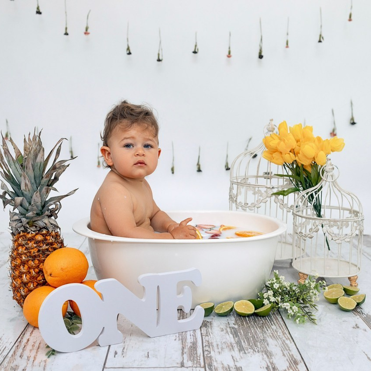 Testimonials. Anaeliseevaphoto.com