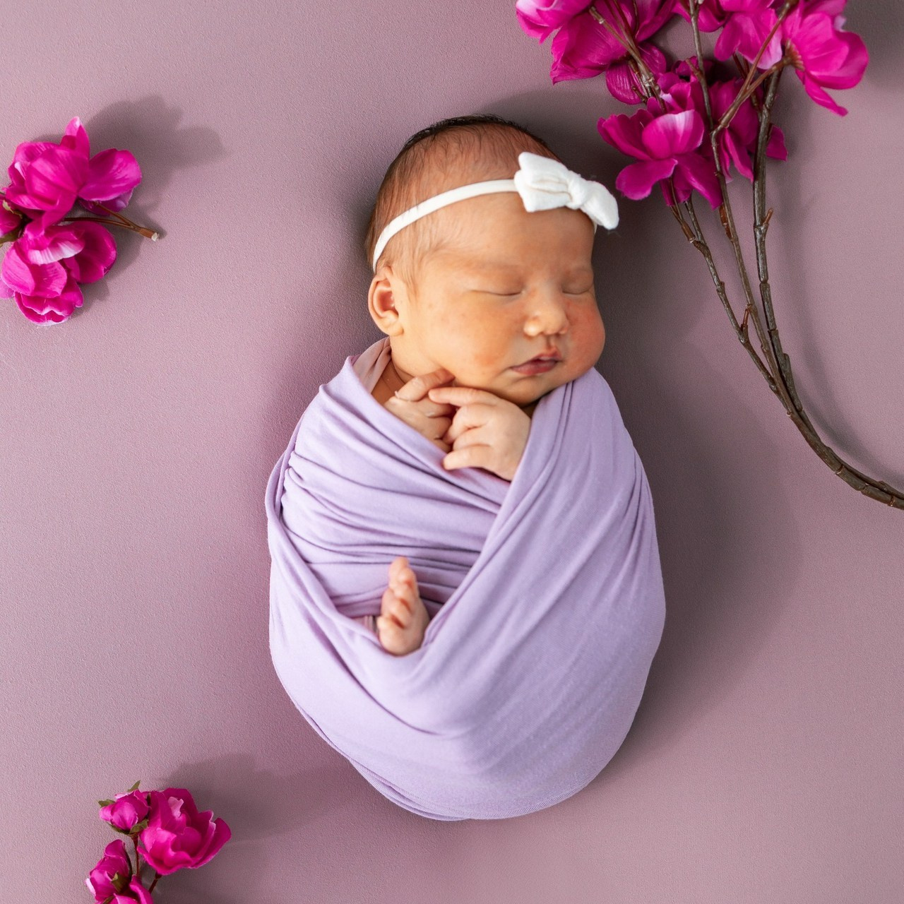 Testimonials. Anaeliseevaphoto.com