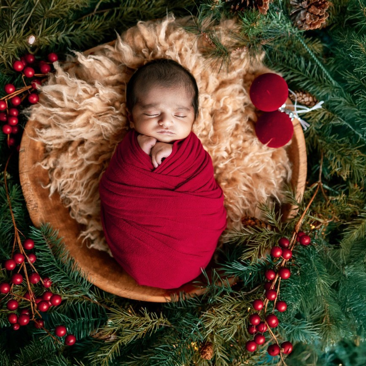 Testimonials. Anaeliseevaphoto.com