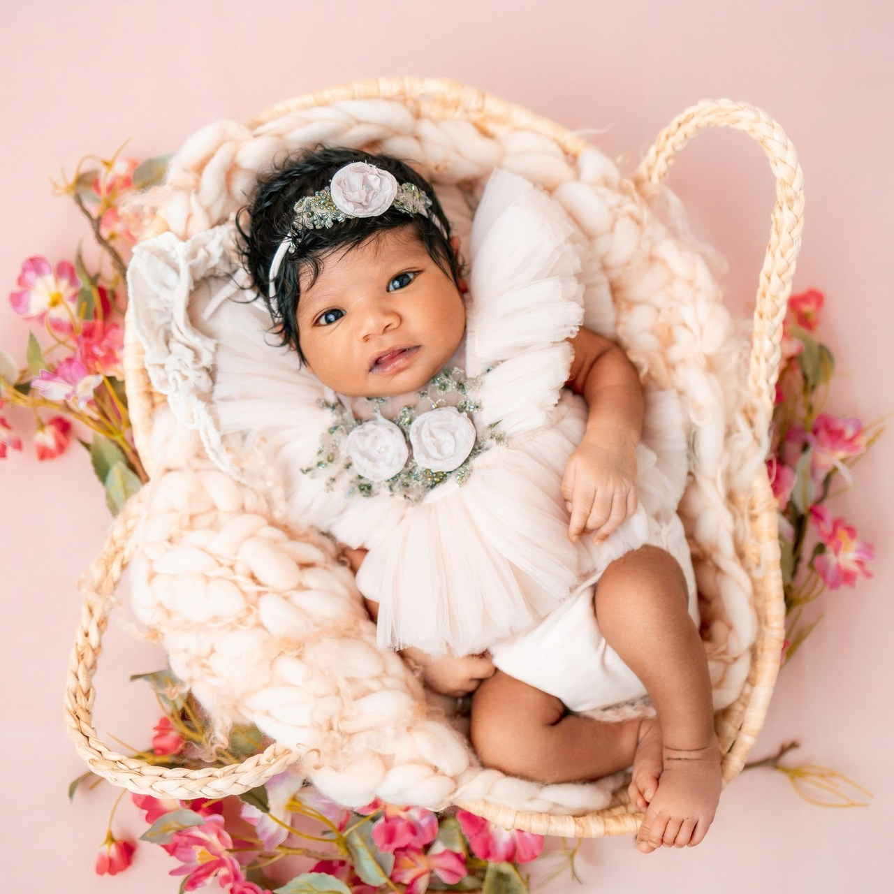 Testimonials. Anaeliseevaphoto.com