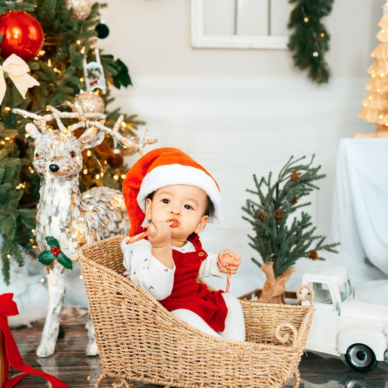 Testimonials. Anaeliseevaphoto.com