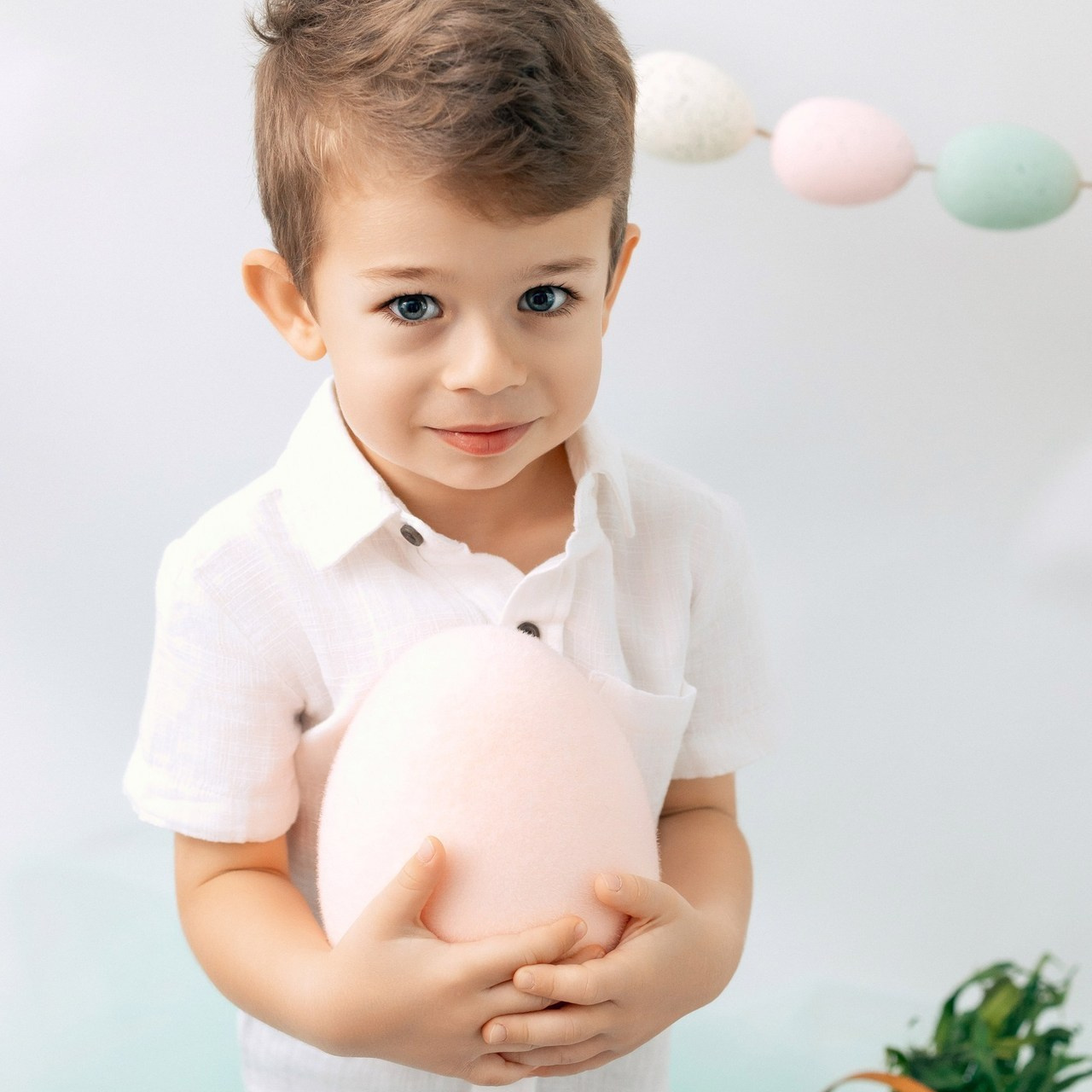 Testimonials. Anaeliseevaphoto.com