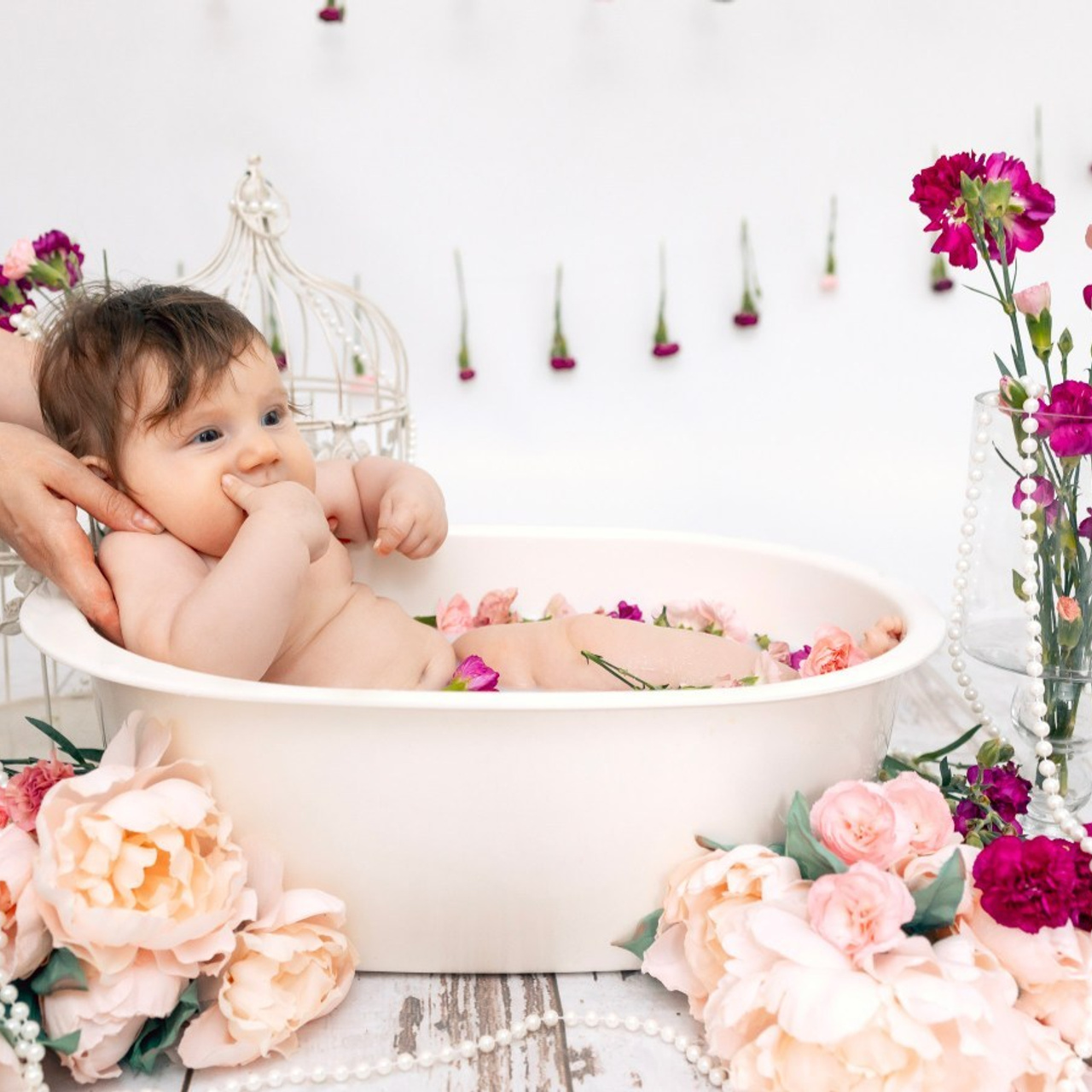 Testimonials. Anaeliseevaphoto.com