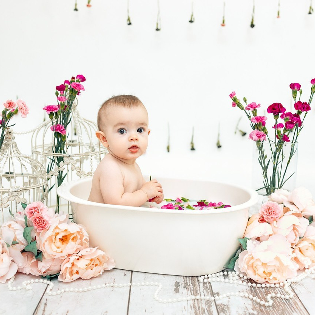 Testimonials. Anaeliseevaphoto.com