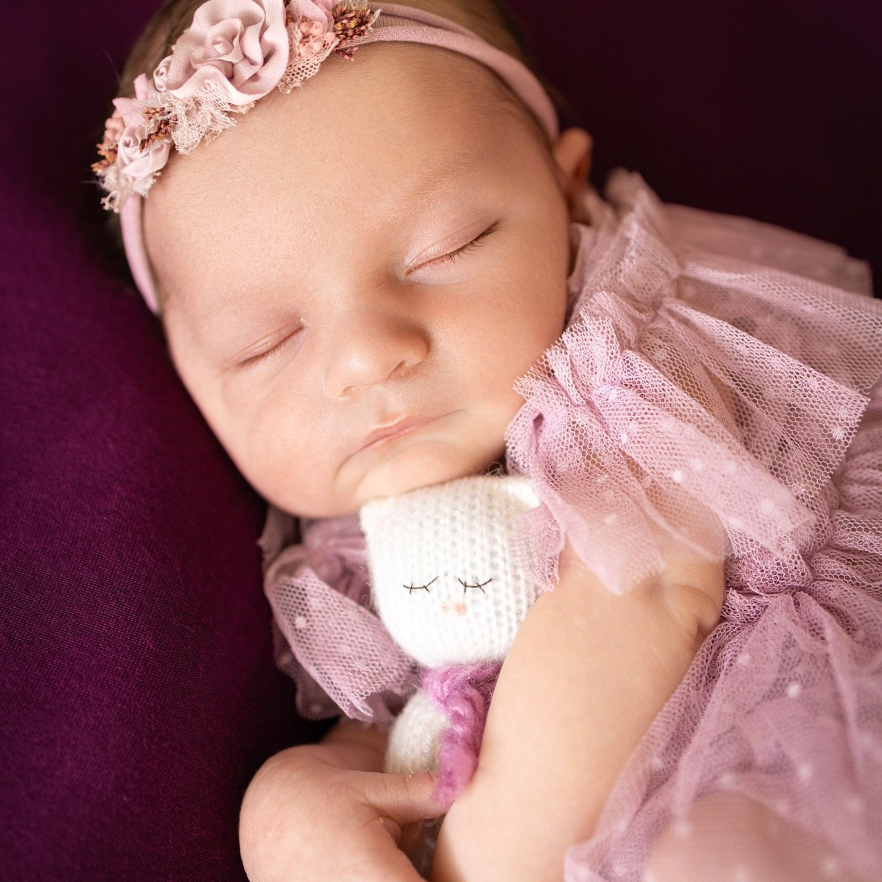 Testimonials. Anaeliseevaphoto.com