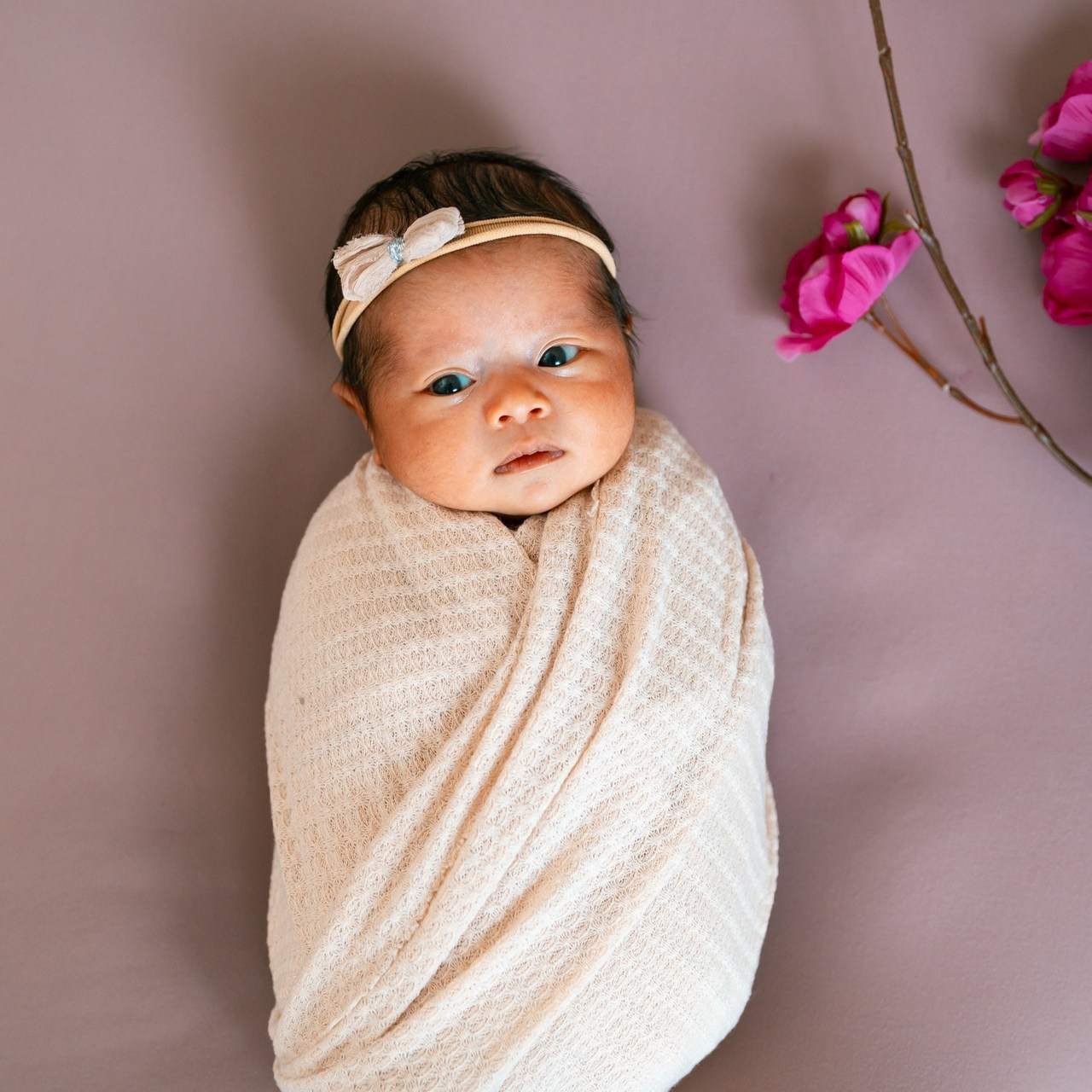 Testimonials. Anaeliseevaphoto.com