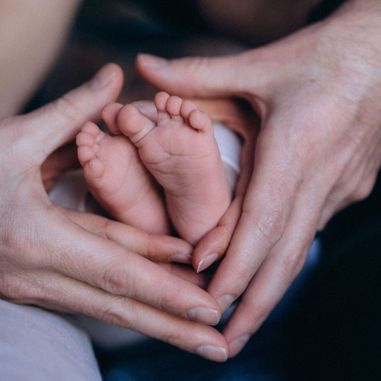 Feedback. Barbarica. Photography