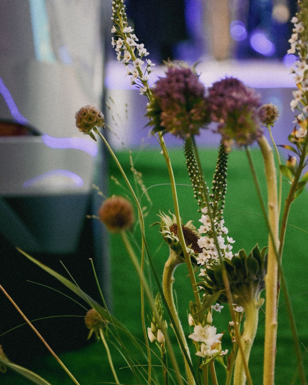 Premiere Day- Omoda Jaecoo