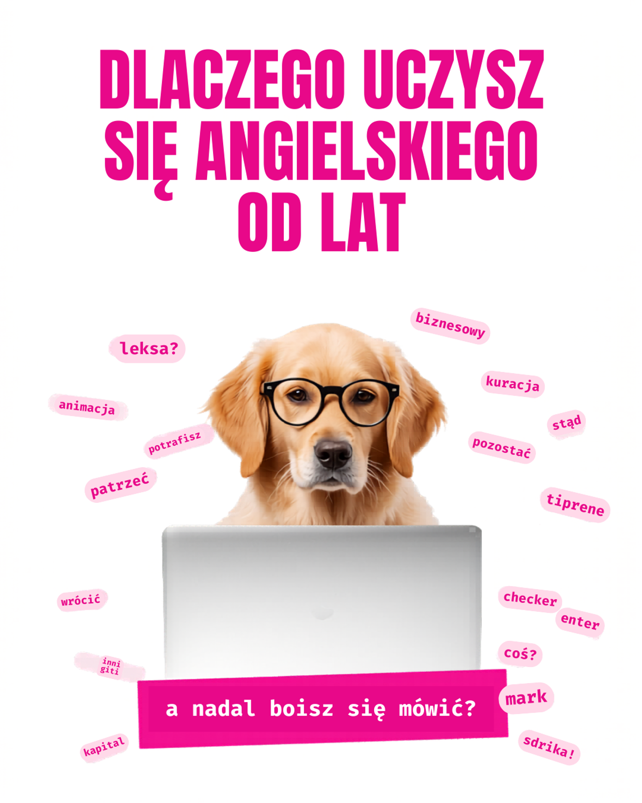 Language School