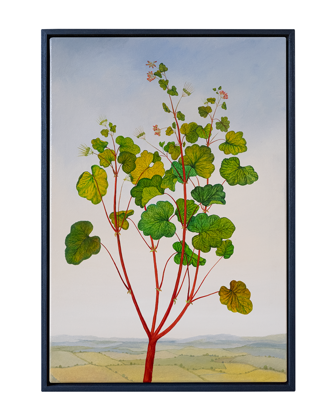 Botanical Etude No. 14