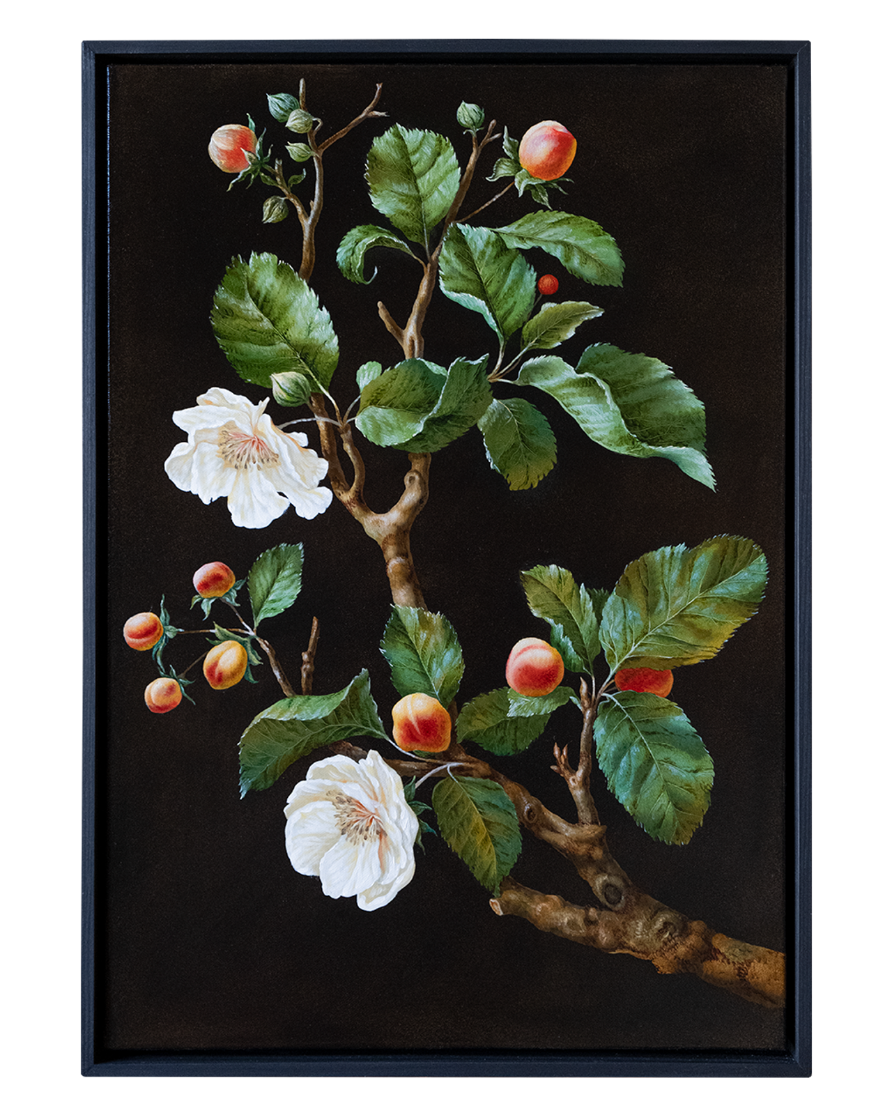 Botanical Etude No. 9