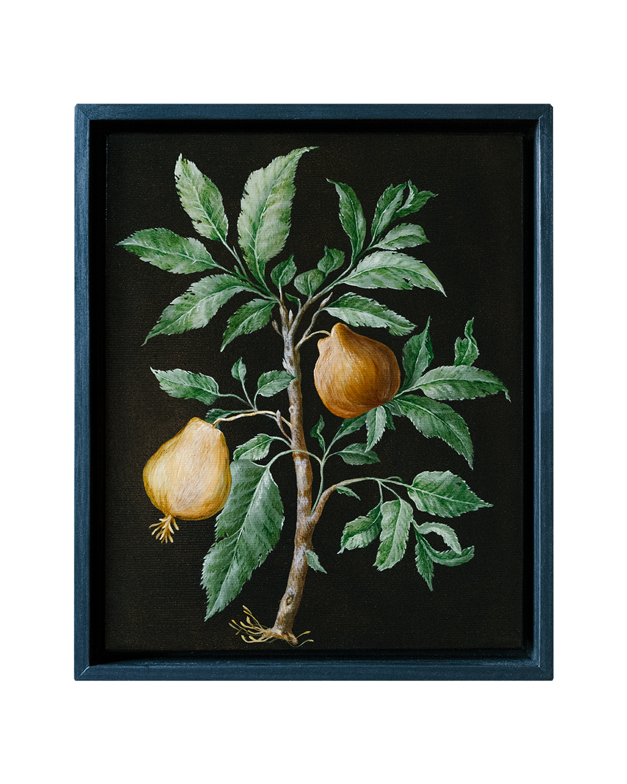 Botanical Etude No. 6