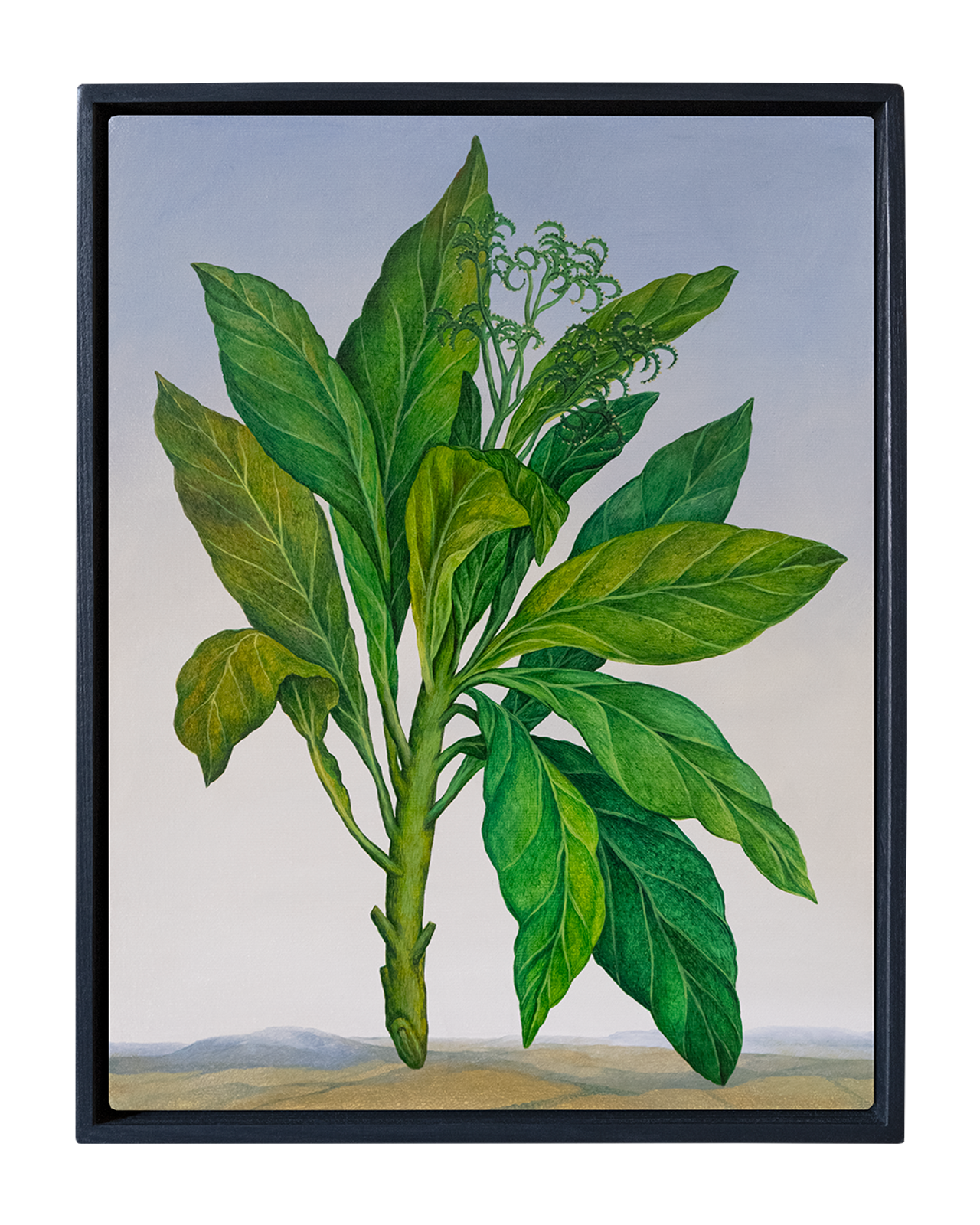 Botanical Etude No. 15