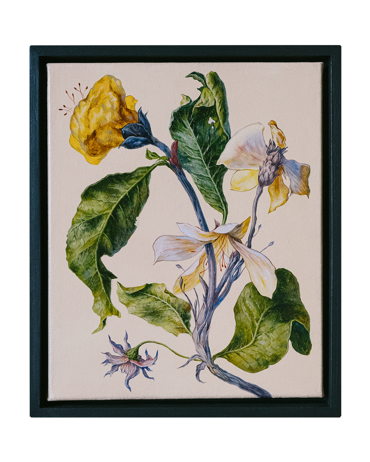 Botanical Etude No. 3