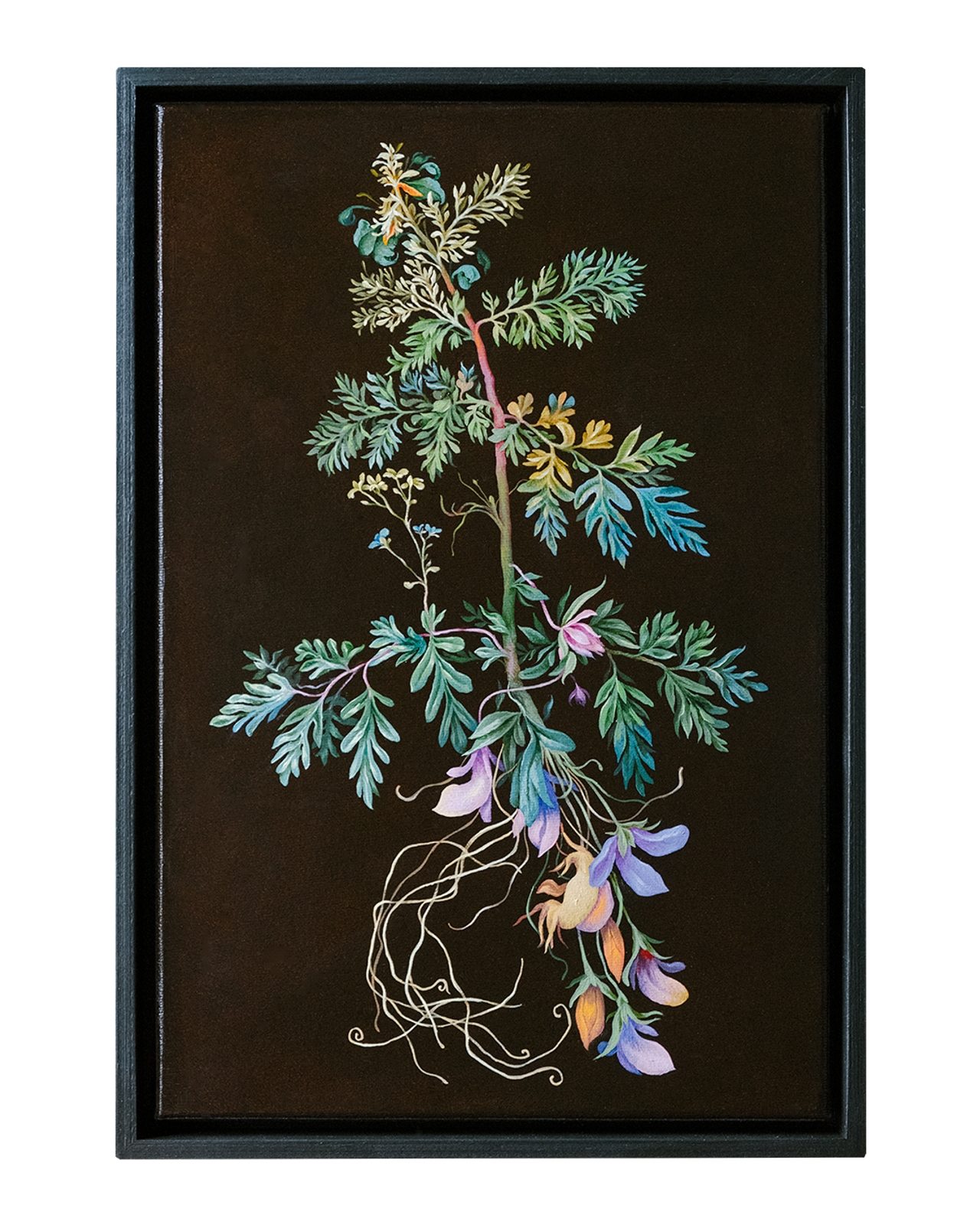 Botanical Etude No. 2