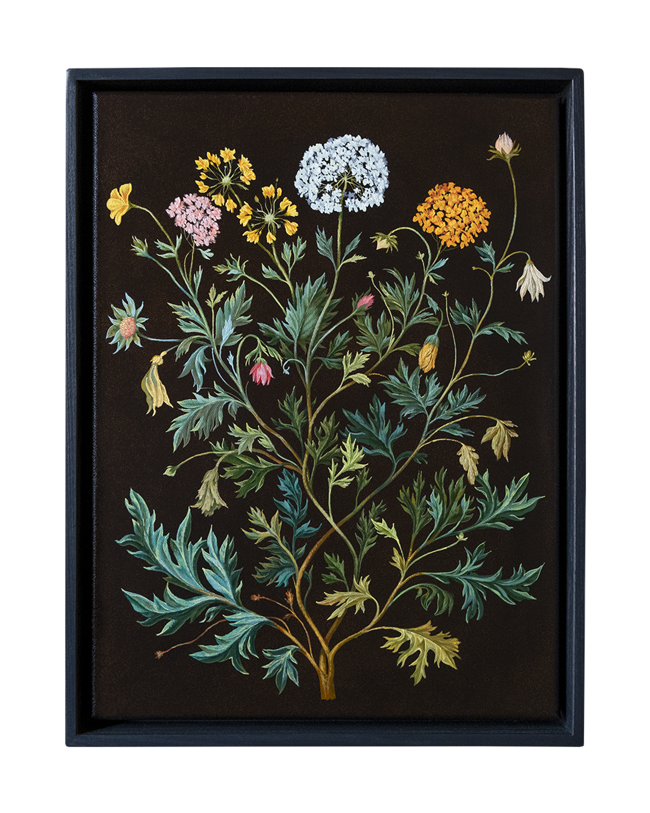 Botanical Etude No. 12