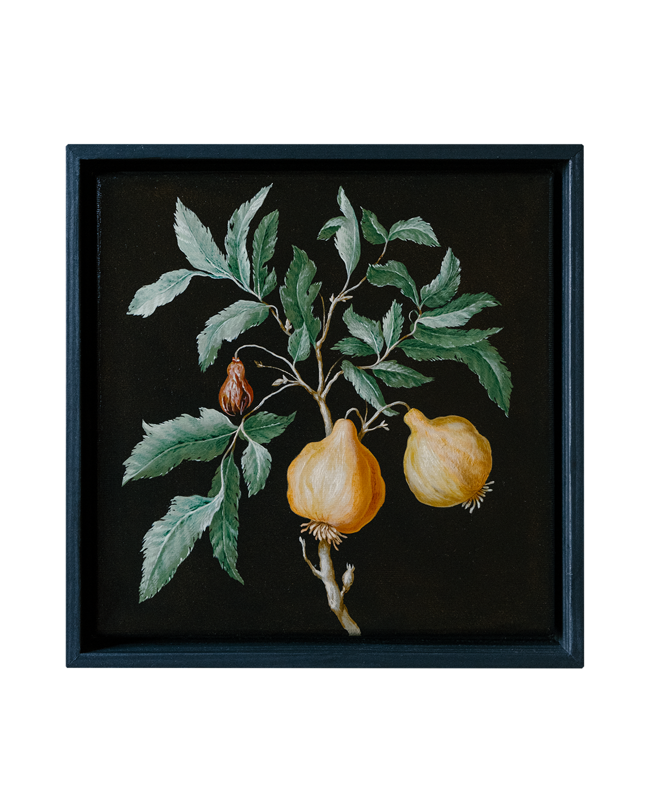 Botanical Etude No. 7