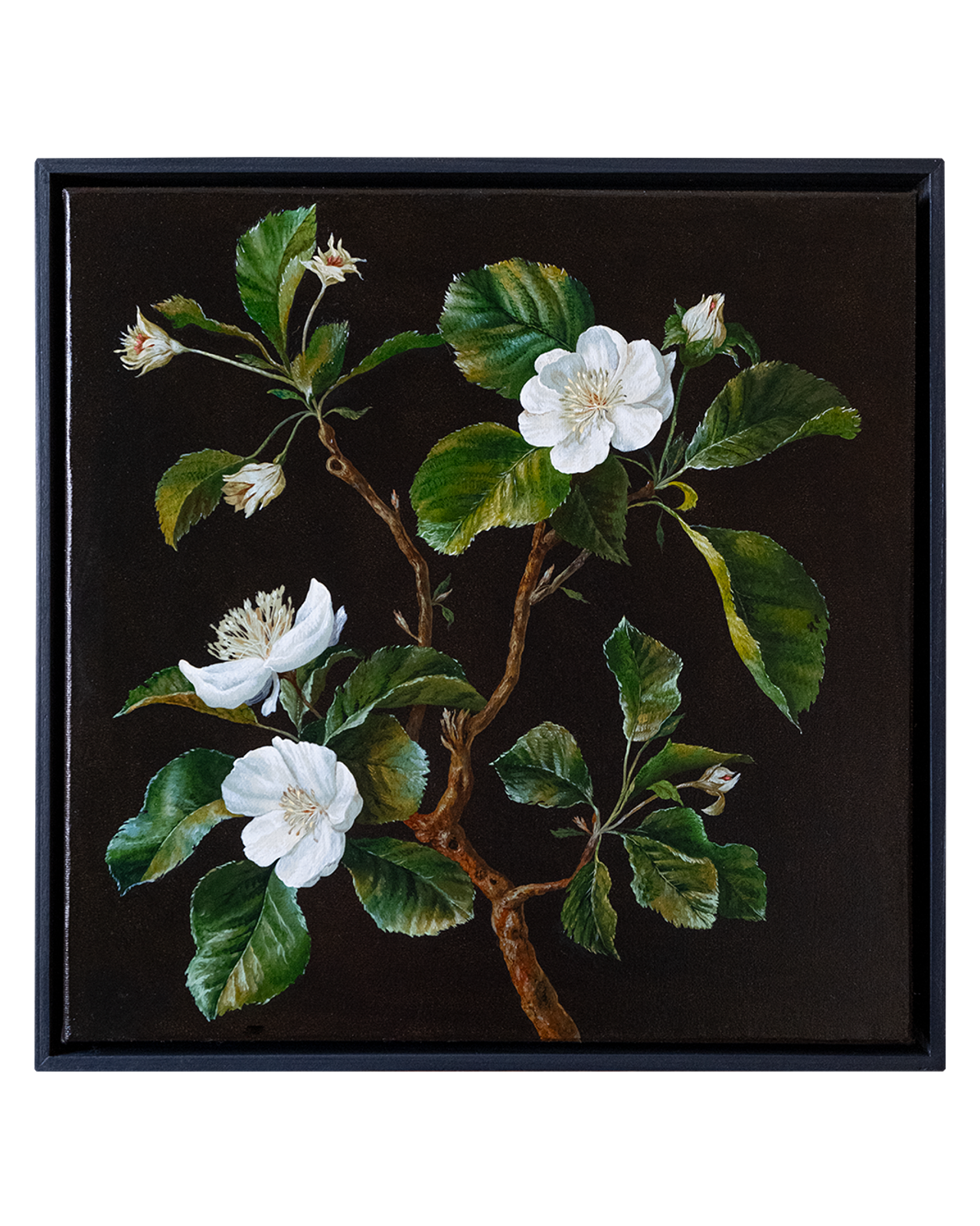 Botanical Etude No. 10