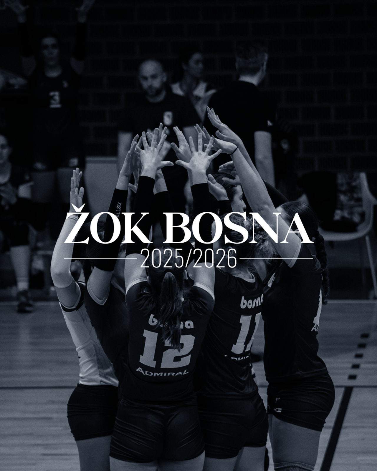 ŽOK Bosna — 2025/2026