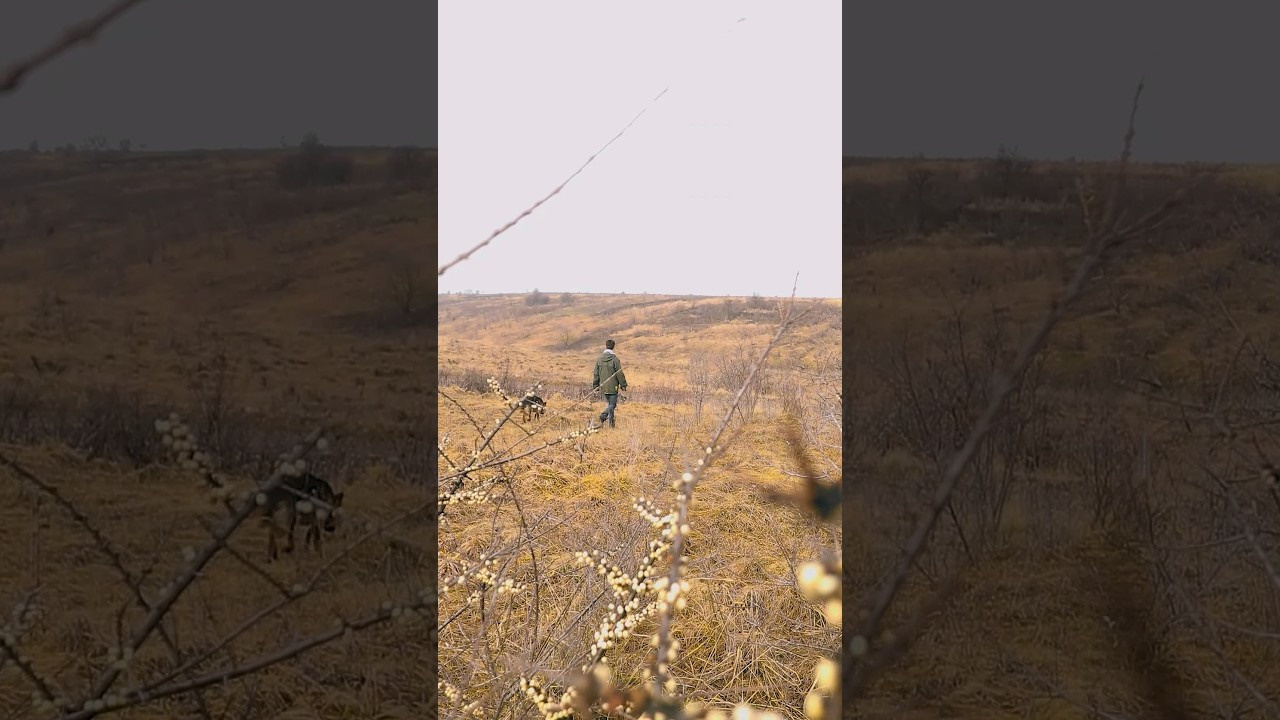 Для брендів