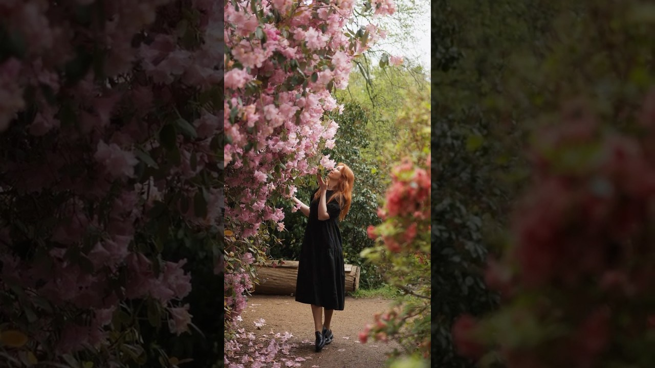 Videos. Photographer in London Daria Agafonova