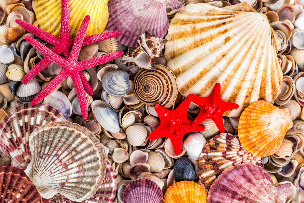 16 — разные фоны