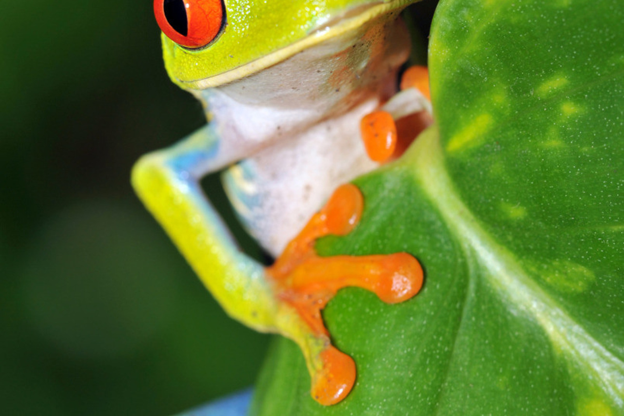 04 — животный и водный мир