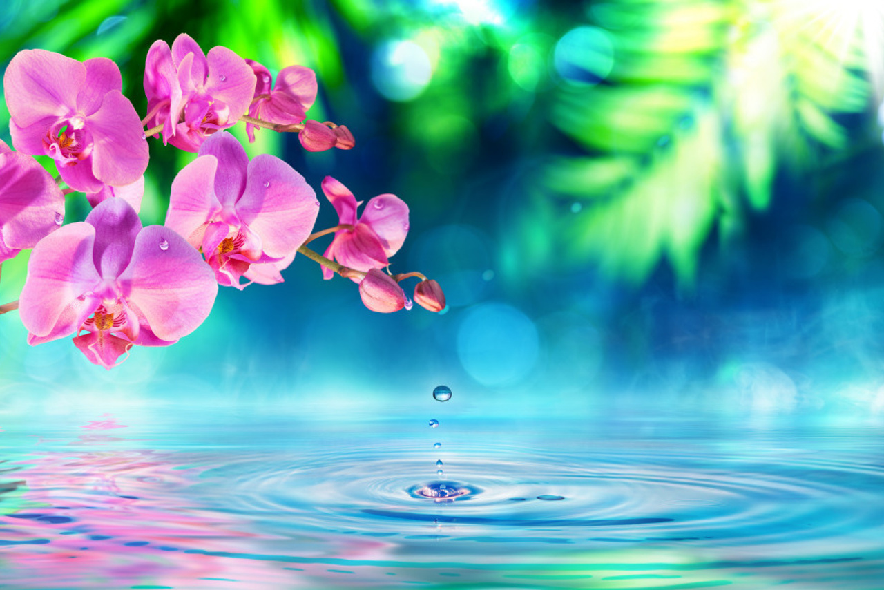 03 — цветы — растения — фрукты