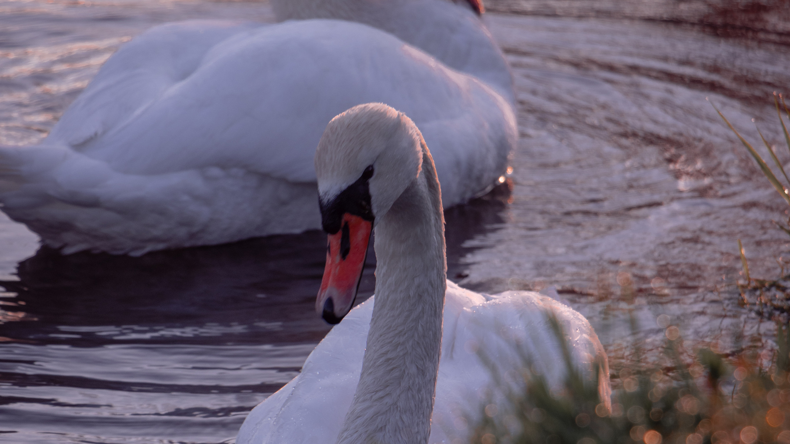 Portrait and Street photographer in Vilnius Edgar Shaipunas