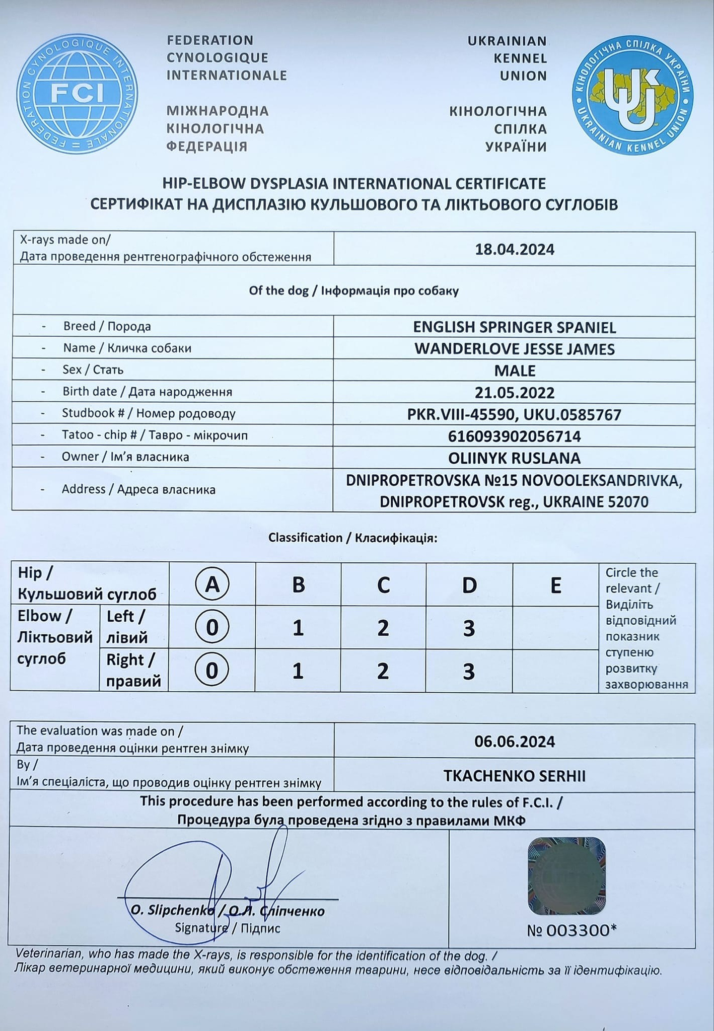 Health tests. Website of the titled stud dog of the Springer Spaniel breed