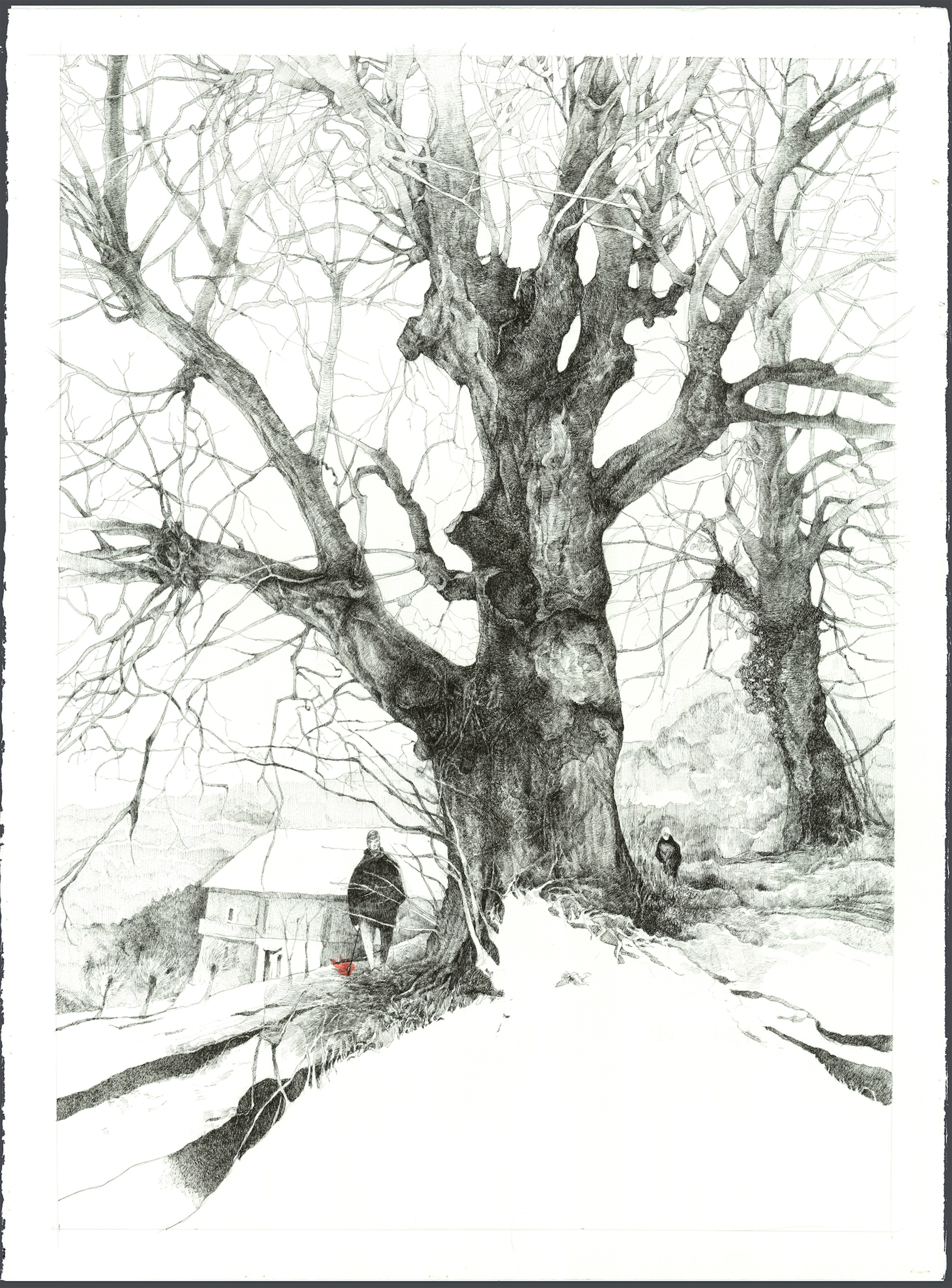 A collection of exquisite graphic drawings for sale, beautifully rendered in Chinese ink and pen on thick cotton watercolor paper. Each piece showcases detailed depictions of ancient trees, capturing their majestic and timeless beauty. Ideal for interior decoration, these artworks are perfect for adding a touch of elegance and serenity to any space.