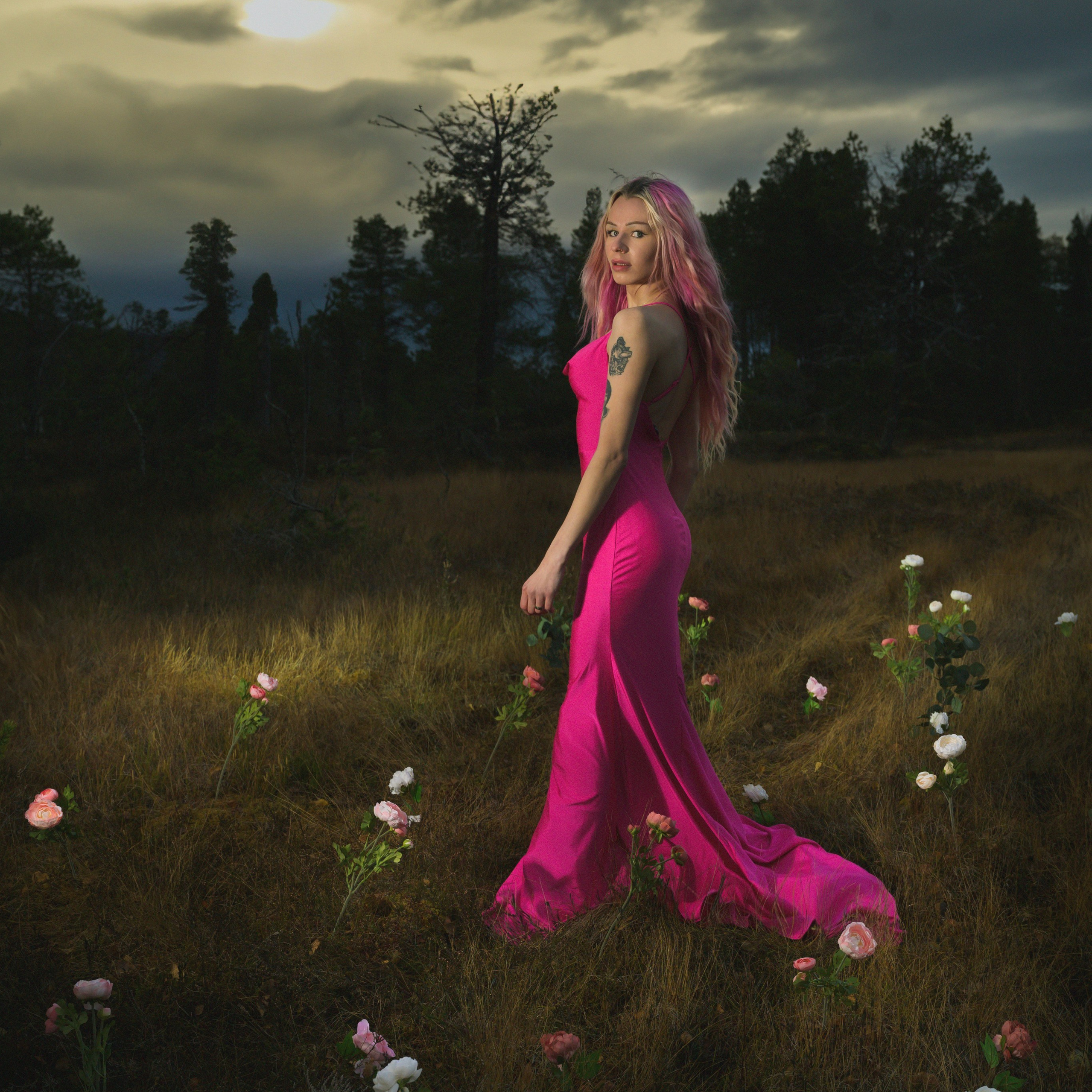 Familiefotograf i Narvik kommune