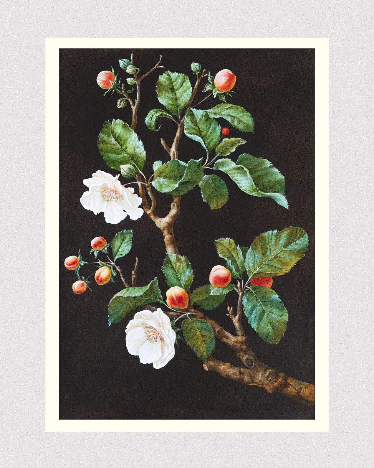 Botanical Etude No. 9. ELEN BEZHEN