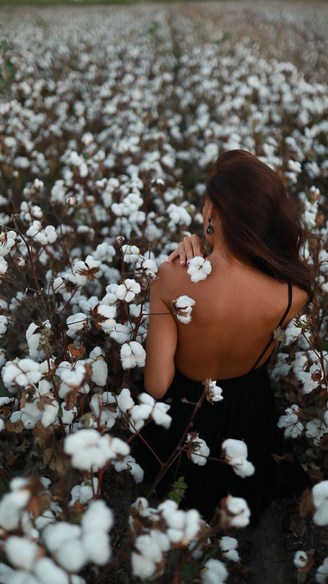 Хлопковые поля в Турции. Photographer in Turkey (Alanya, Side, Belek, Antalya)